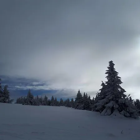 Katia м14 Milmari Apartament *