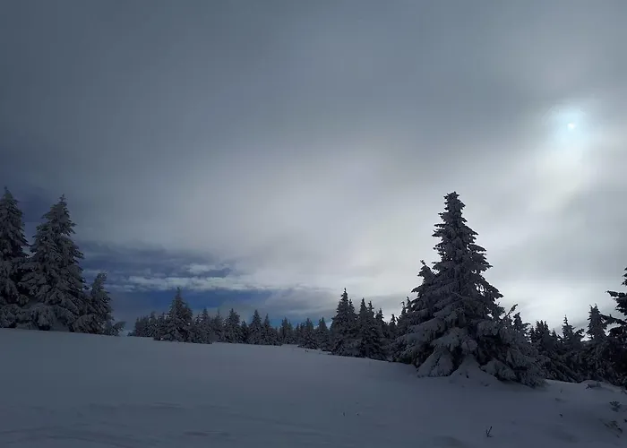 Katia м14 Milmari Апартаменты *